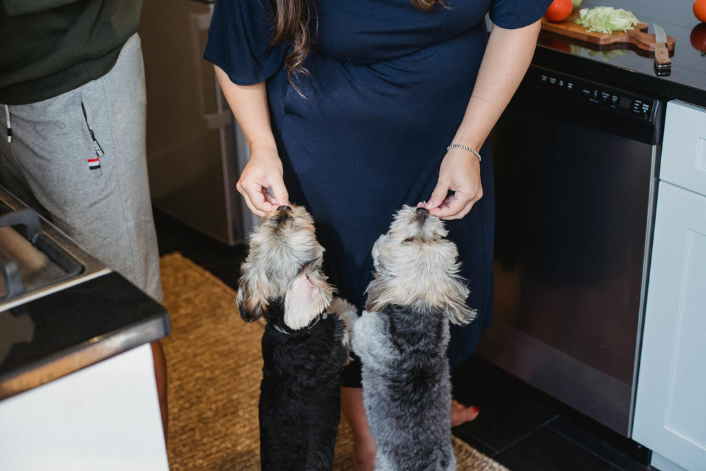 A woman feeding her pet dogs in her kitchen