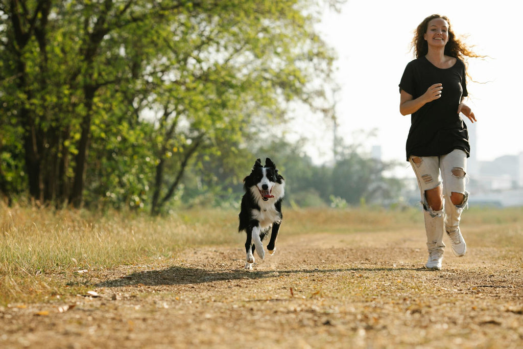 Woman and dog jogging in the countryside