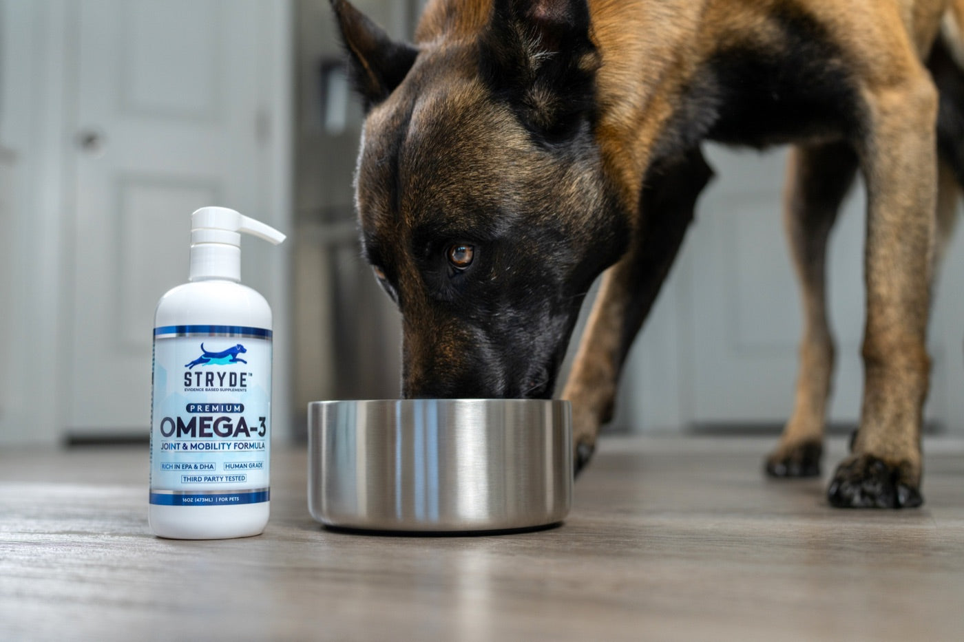 Why Most Fish Oils Fail Your Dog's Arthritis – Stryde