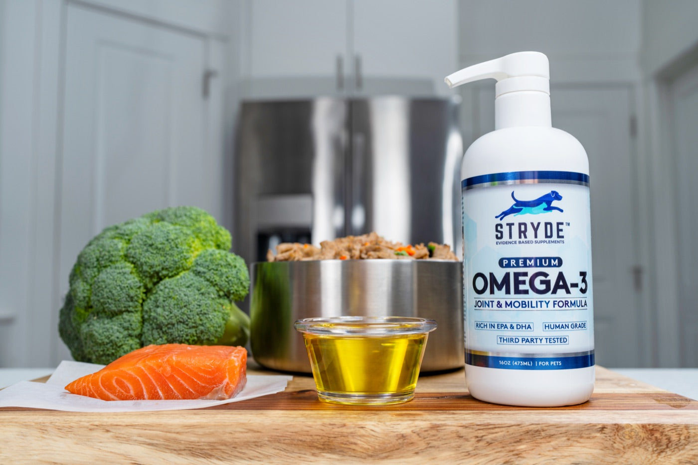 Your Dog's Mobility Doesn't Have to Decline – Stryde